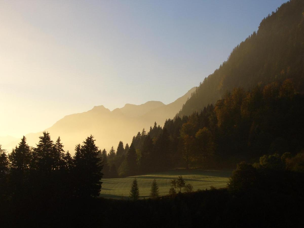 Chalet Edelweiss Daire Pfronten Dış mekan fotoğraf