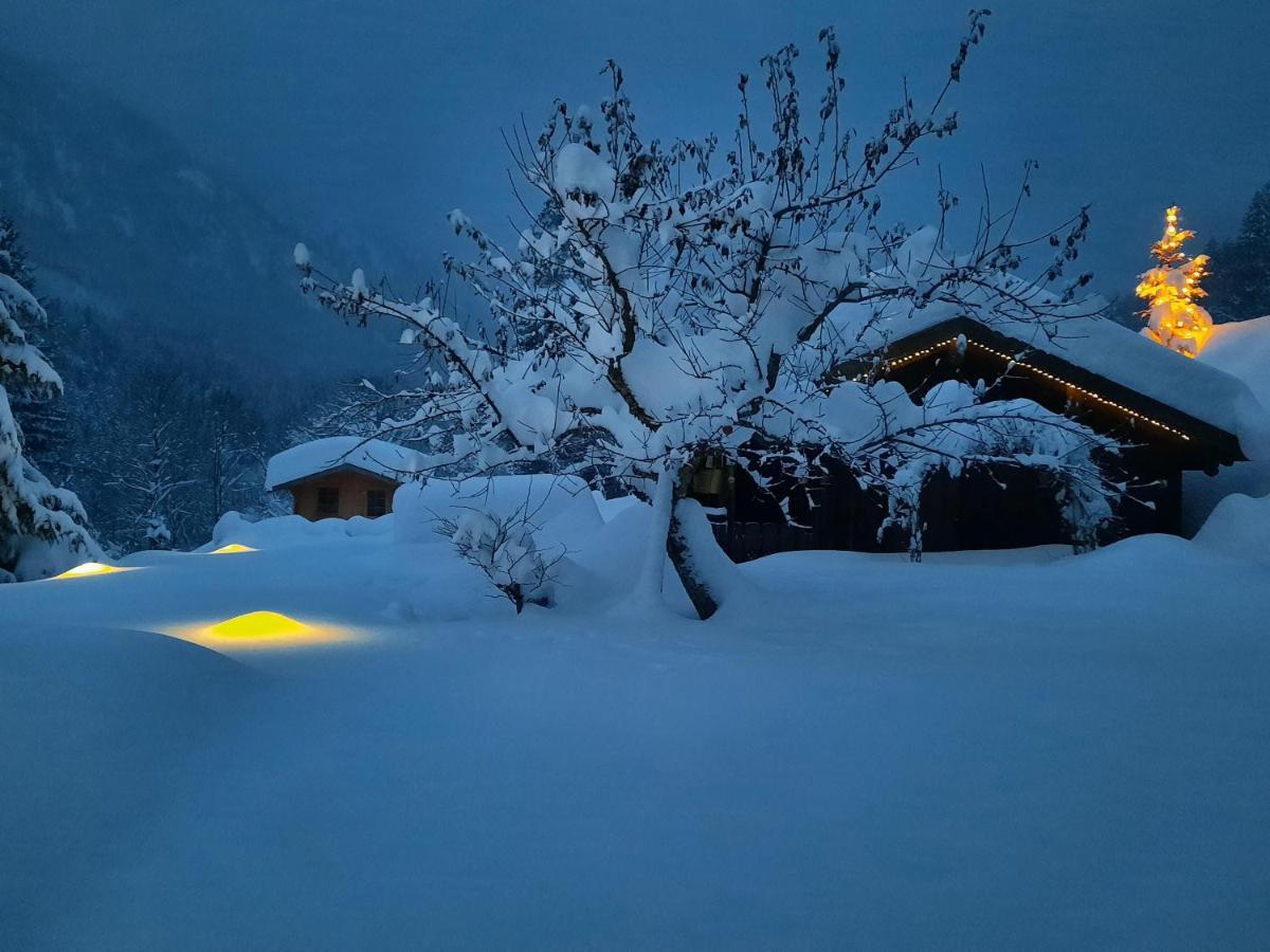 Chalet Edelweiss Daire Pfronten Dış mekan fotoğraf